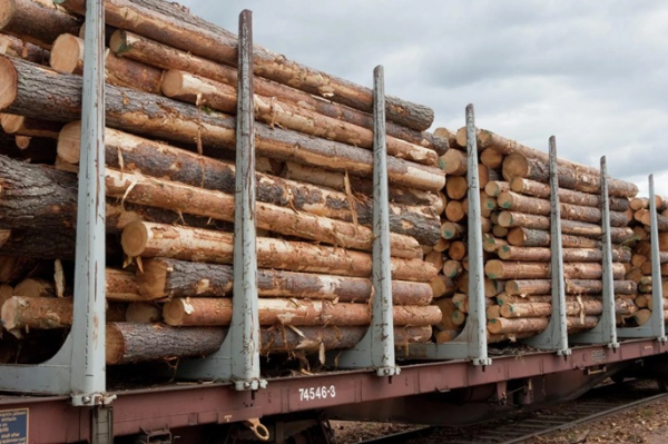 Forest industry struggles as major producers report weaker Q3 results Forest industry struggles as major producers report weaker Q3 results