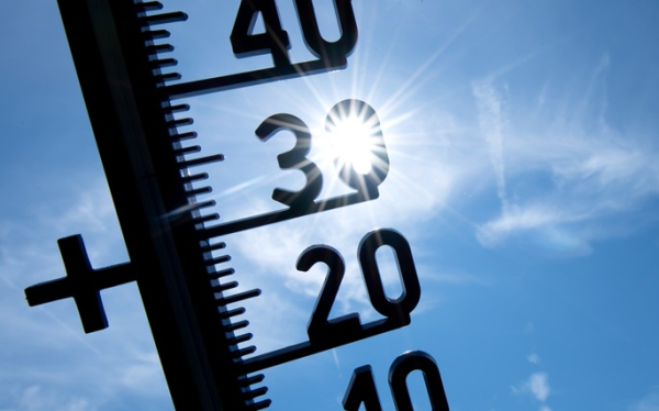 Temperatures to reach up to 41 °C in Germany as Europe swelters in heat Temperatures to reach up to 41 °C in Germany as Europe swelters in heat