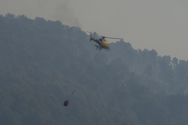 11 killed in wildfires in southern Spain 11 killed in wildfires in southern Spain