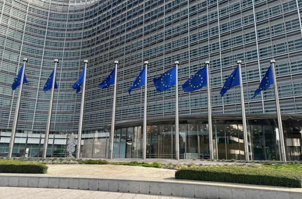 EU probes building chemicals firms on suspicion of cartel behaviour EU probes building chemicals firms on suspicion of cartel behaviour